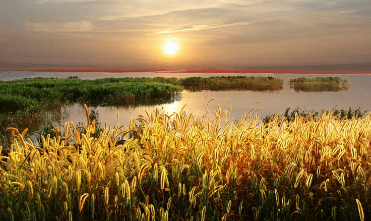 盘锦2020年gdp多少_盘锦有多少个镇(3)