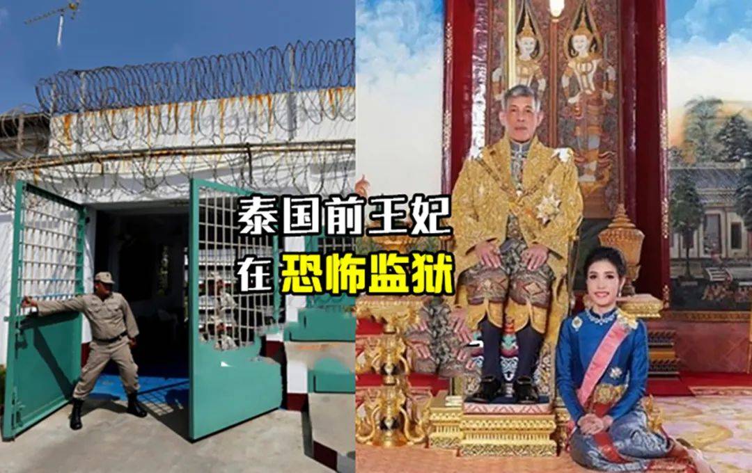 原创35岁诗妮娜重磅回归!出狱后立马奔向机场,穿小背心低腰裤见泰王