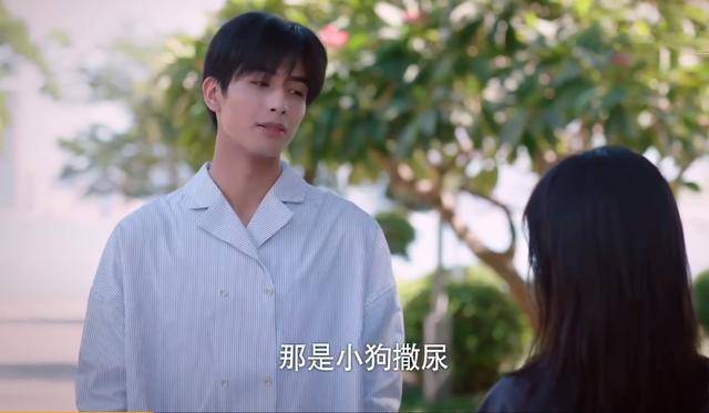 凌霄哥哥短剧，免费观看的精彩世界，凌霄哥哥，免费观看的精彩短剧