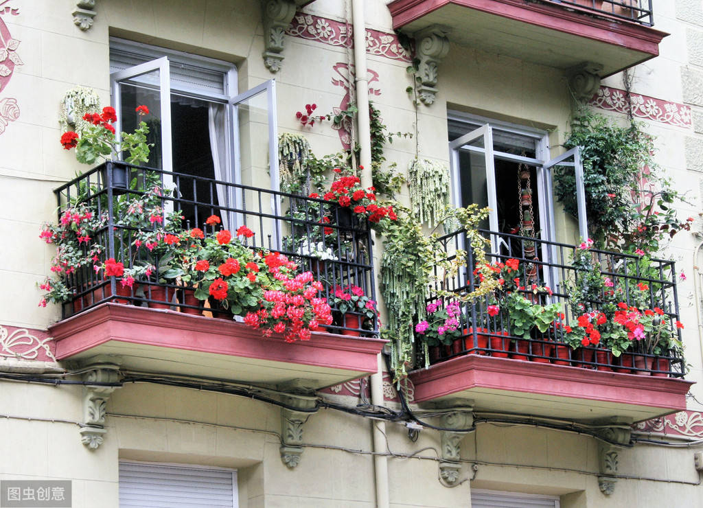 爬墙月季花怎么选 b69905c41b734578bd3ce715a85377fc.jpeg