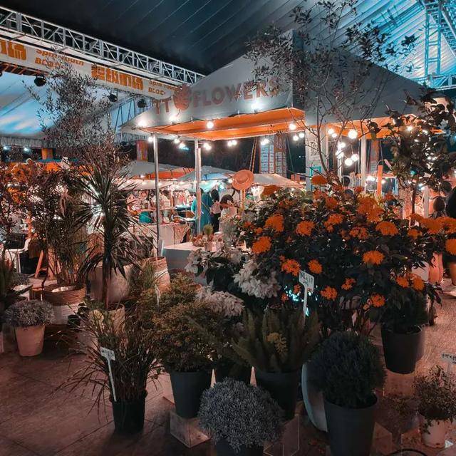 测评|vivo S7测评：花样自拍，性能稍欠