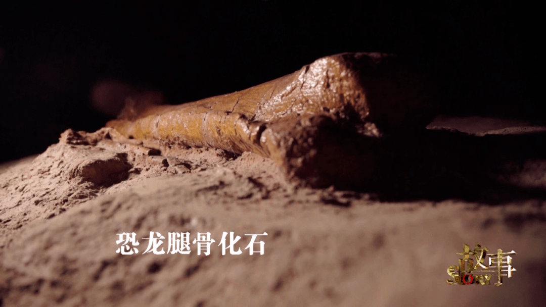 中国|中国“神奇灵武龙”,究竟因何而神奇？