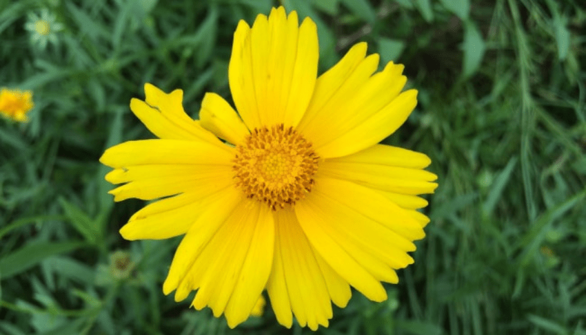262b1610f5724421aca7552f41ca3a78.png