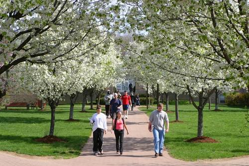 留学|英国留学可以同时申请多个专业吗？建议你不要！