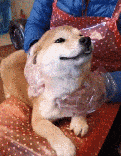 250_320 竖版 竖屏