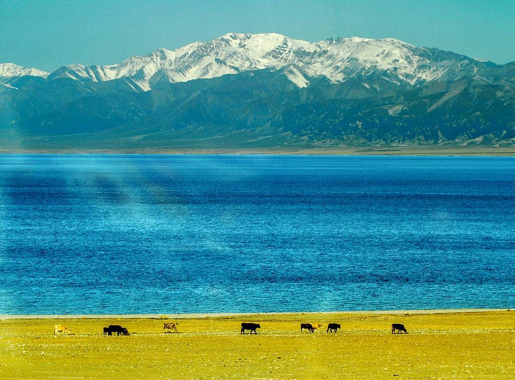 赛里木湖最新状况今天能进吗 95c95fcb71954ebbb96ceb79717363f0.jpeg