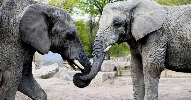 2020世界首富8月最排名b_2020年世界富豪前10名