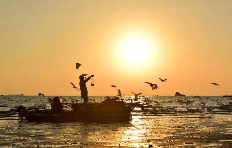 的一天厦门之海潮涨潮落城在海上,海在城中林聪明|王海燕|摄微凉海风