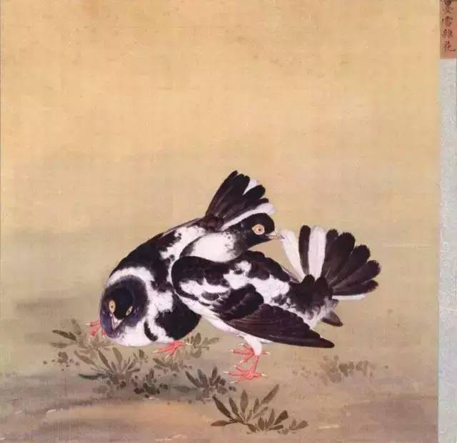 工笔珍禽《鹑鸽谱》故宫馆藏_所画
