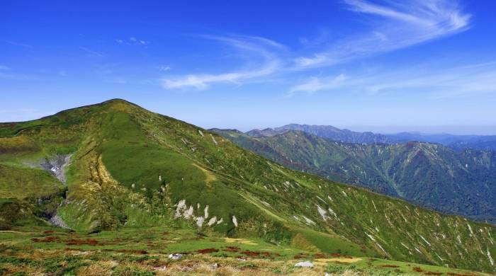 半年报小熊电器涨苏泊尔跌,这是小家电全面变轨的信号?-家电圈官网