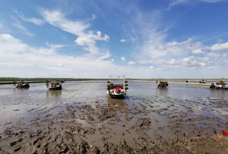 碧桂园|逆市才能谈稳增长，碧桂园的功守道该怎么看？未来究竟几何？