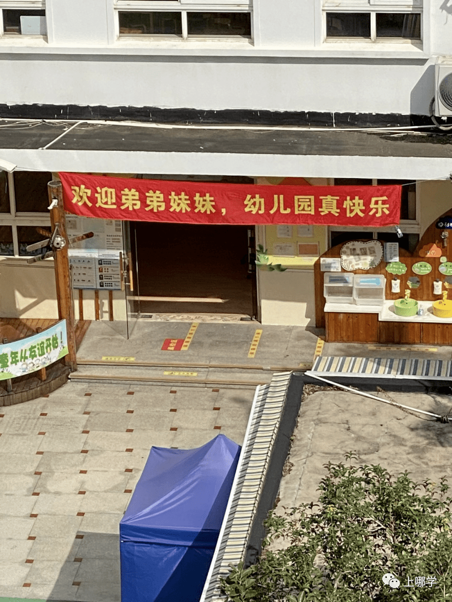 家长|神兽归笼现场！上海150万小学生今天开学！妈趴窗，爹爬树，场面过于激动~