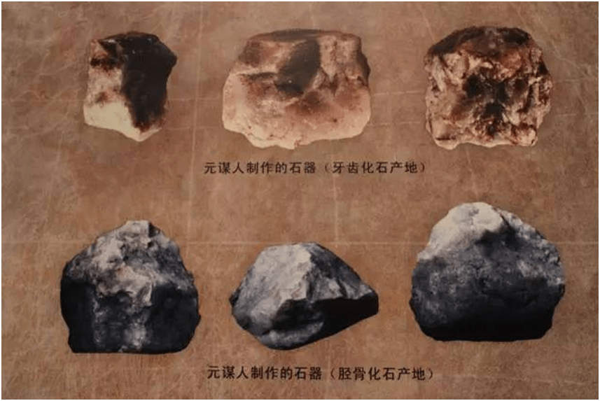 8万年的山顶洞人距今约70万年—20万年的北京人距今约170万年的云南