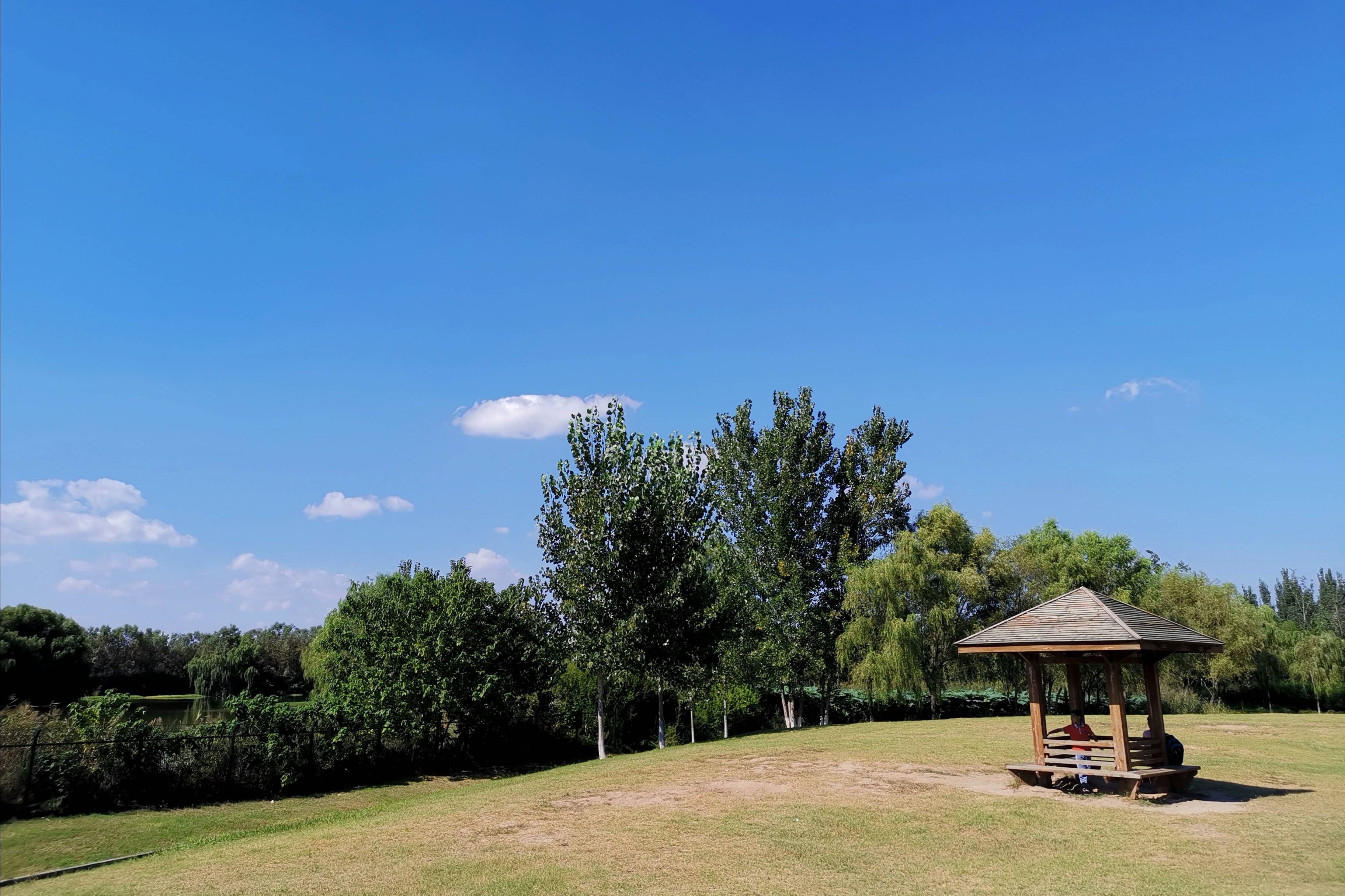 浐灞(|西安蓝里的浐灞，鹭鸶嬉戏，花草灿阳，留下湿地美幻时光