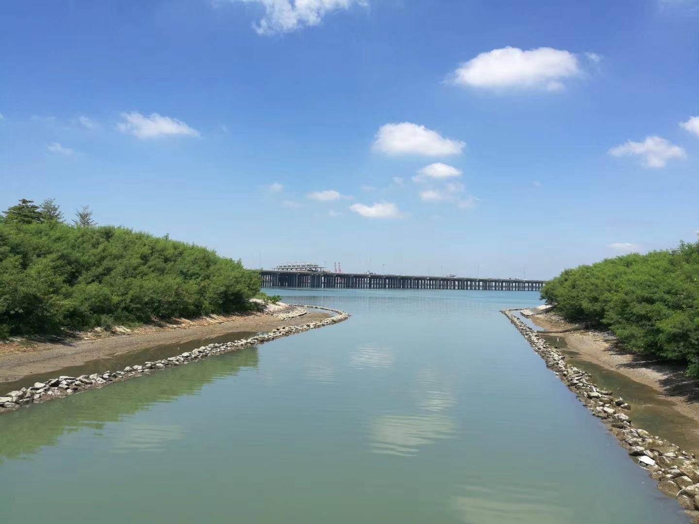广西2021年经济总量_2021年广西三月三图片