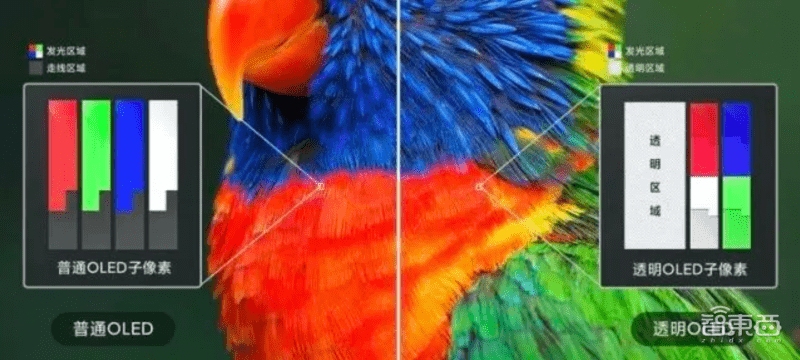 雷军|从张艺谋到雷军，谁吹爆了透明屏神话？