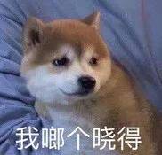 供养|没了红气供养的范冰冰眼里星光黯淡，复出之路还接遭网红拉踩？