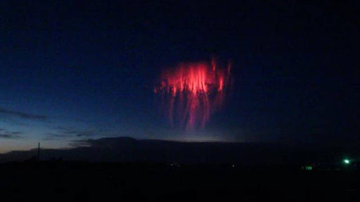 外星生物进入大气层雷雨后专家发现90千米高空出现水母群