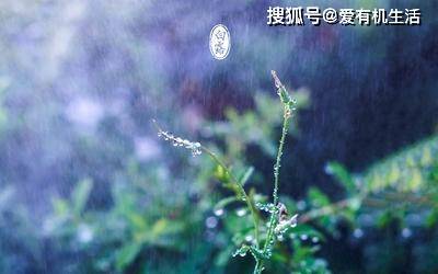 a383b21b56c74b038fdaadfacca178e7.jpeg