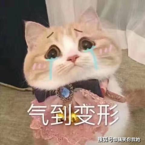 db07c20736994f5c8f6ba53abe9d6101.jpeg