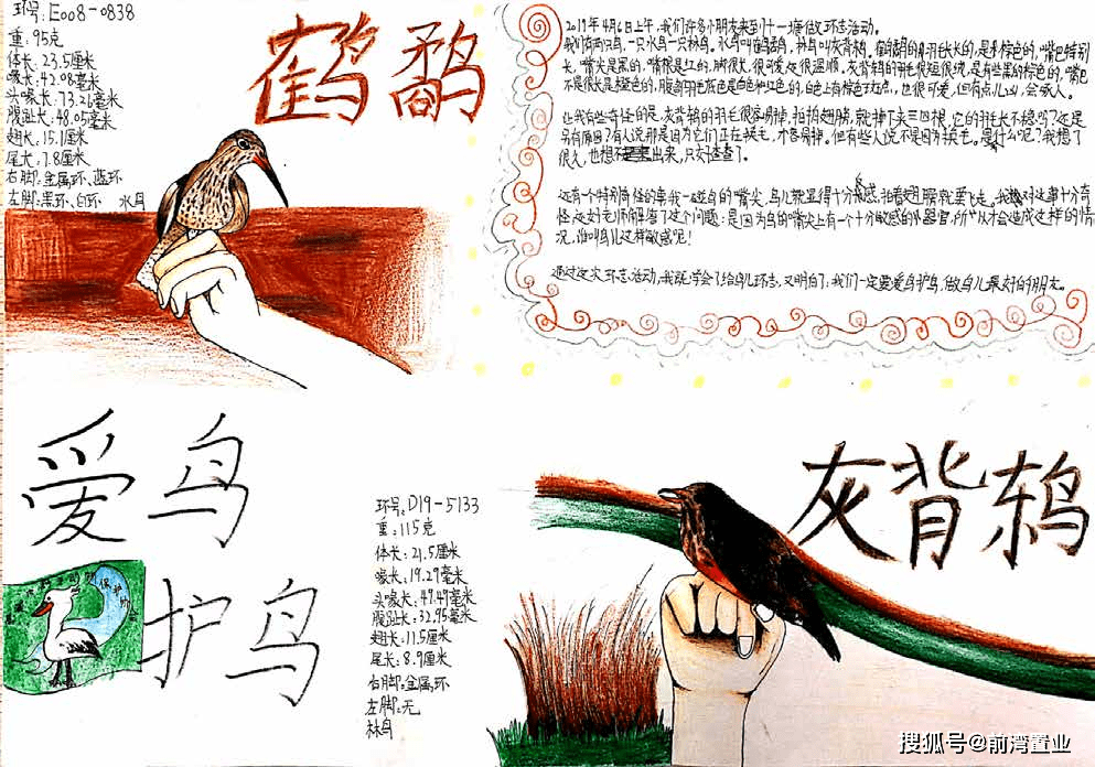 eca5c6aec76840a0823d99ba7f309809.png