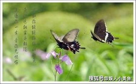 8add6690ce734ec3a060ceae4924d404.jpeg