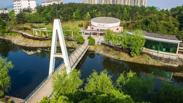 进行|2020年专科志愿填报进行中！今年考生要这样填志愿