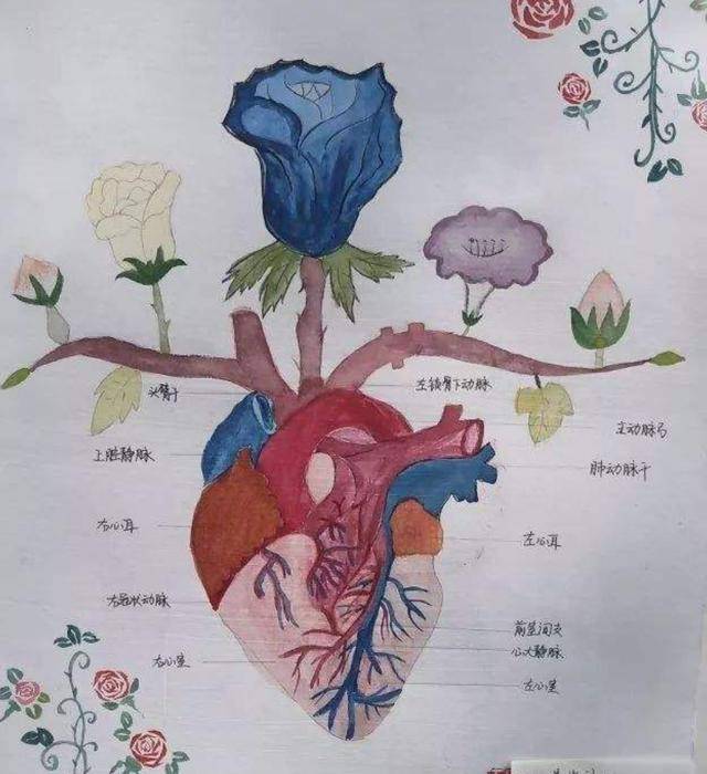 有种灵魂画手叫医学生当看到他们的作业后确定是手画的