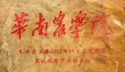毛主席|都出自谁手？出乎你的想象！中国各高校的题字