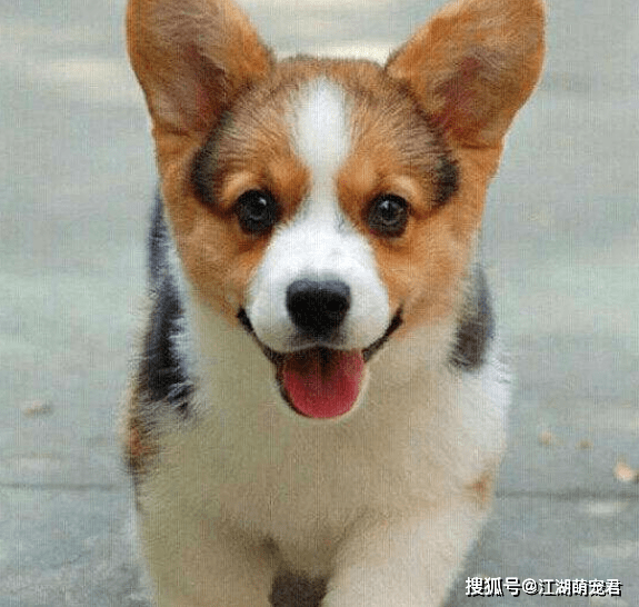 79e06cf30a7d4342be88708c0887e0a4.png