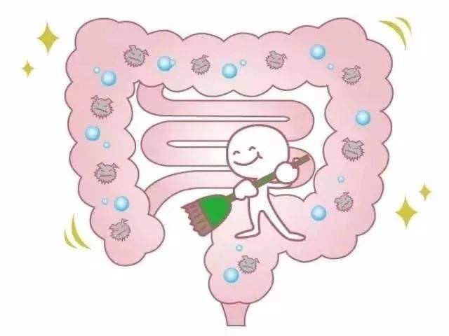 大便干燥排便困难怎么办