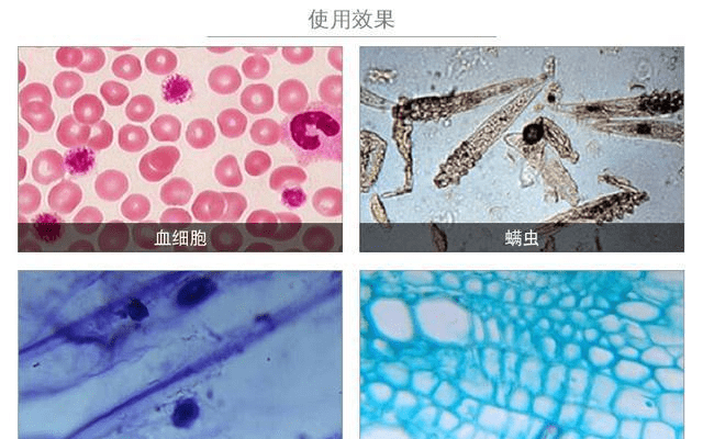 欧盟的gdp世界占比_美国GDP全球占比近50年遭腰斩 手机新浪网(3)