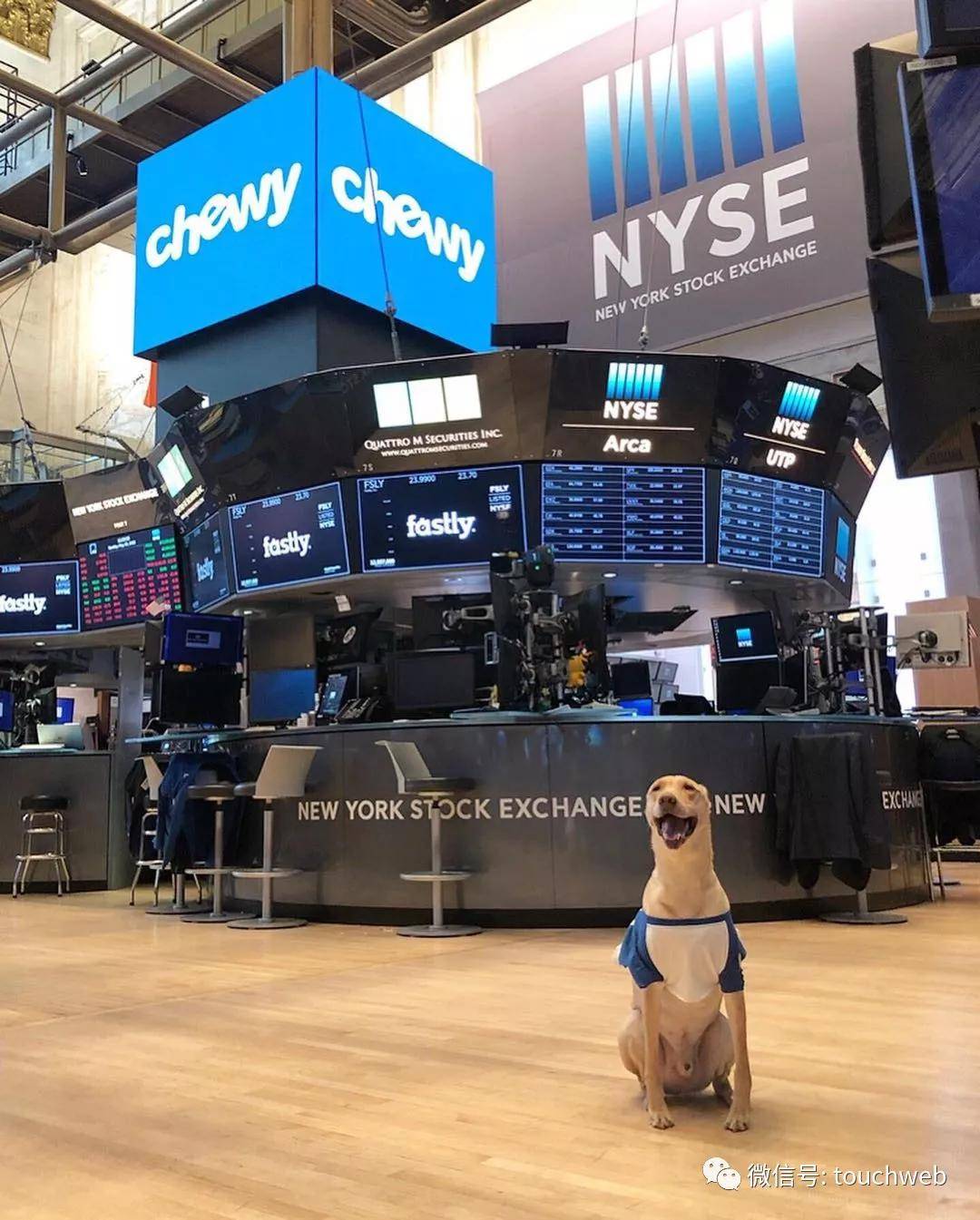 高盛|波奇宠物冲刺美股：年亏1.76亿 高盛与招商银行为股东