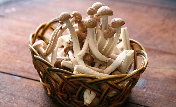 玉米笋|健胃润肠，降压减脂，增强体质聪明的人常吃4种食物