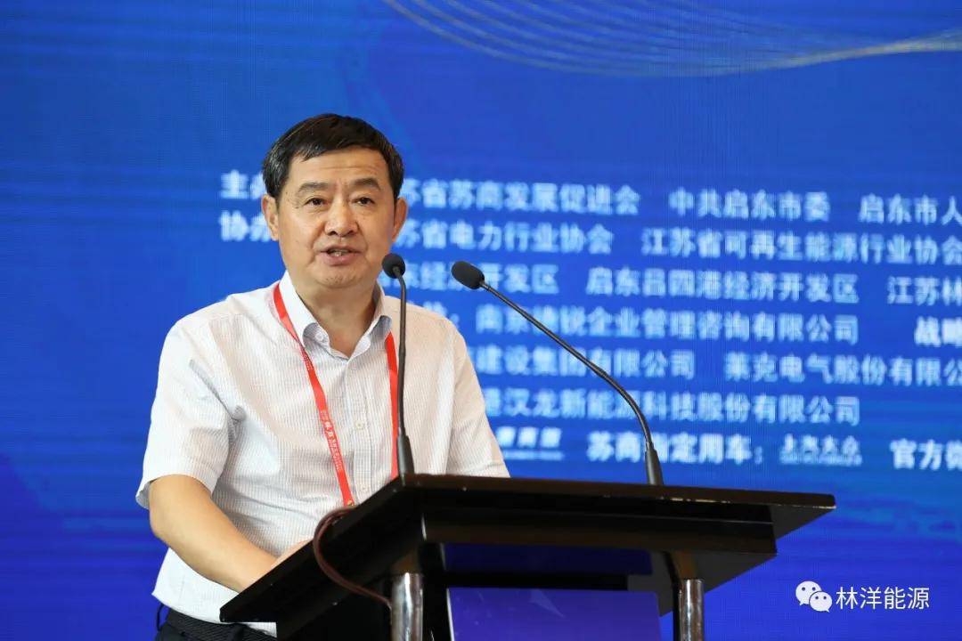 实业强国·实力苏商 林洋能源出席2020苏商大会,共话产业变革破局之