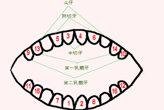 宝宝|宝宝长一颗牙迷信说法 第一个就吓倒我了