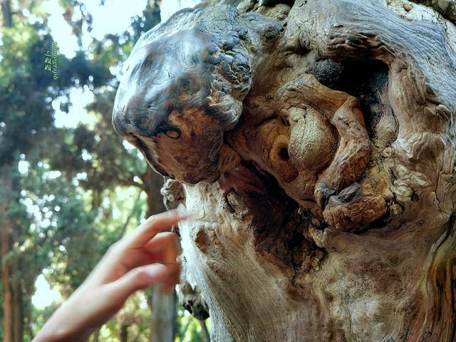 喝汤|洛阳人爱喝汤 千古传颂的爱情故事也难抵过一碗羊肉汤