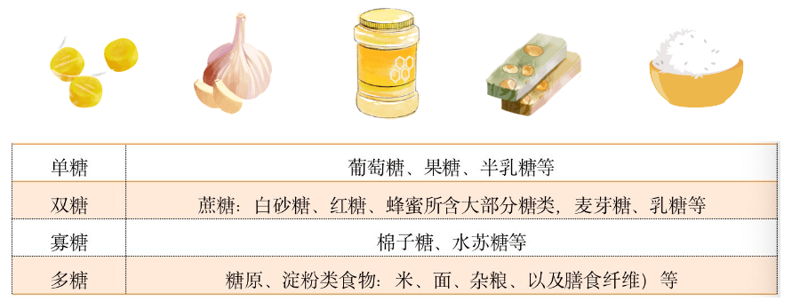 限糖令来了, 娃娃该怎么吃糖?华西口腔,营养科主任携手告诉你