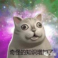 祖先|女人爱美5000年前就开始了，今天你用的都是你的祖先玩剩下的！