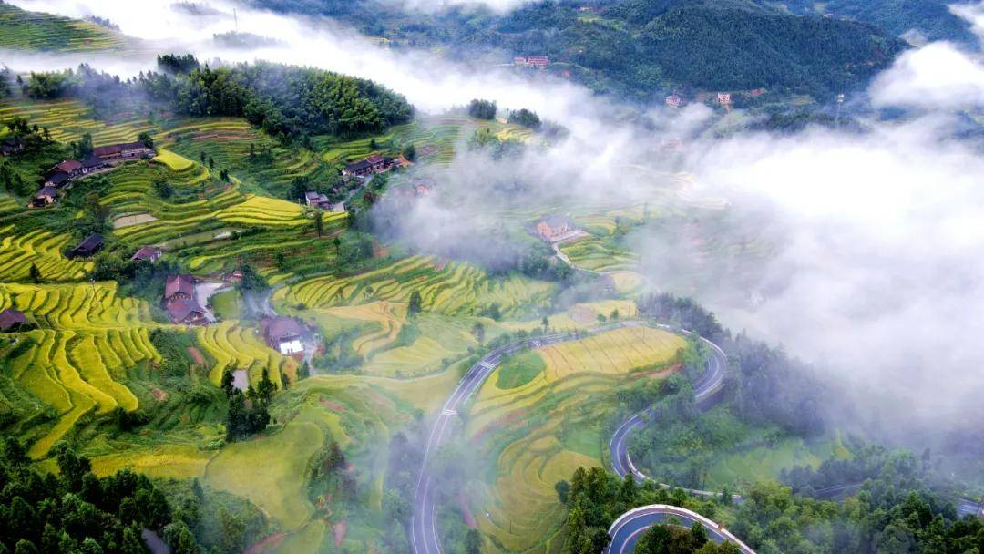 紫鹊界|湖南省首届乡村文旅网红大赛总决赛即将在紫鹊界火爆开启