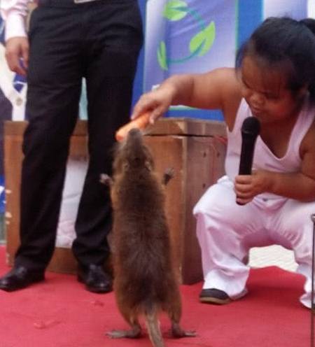 一个氧猜成语_看图猜成语