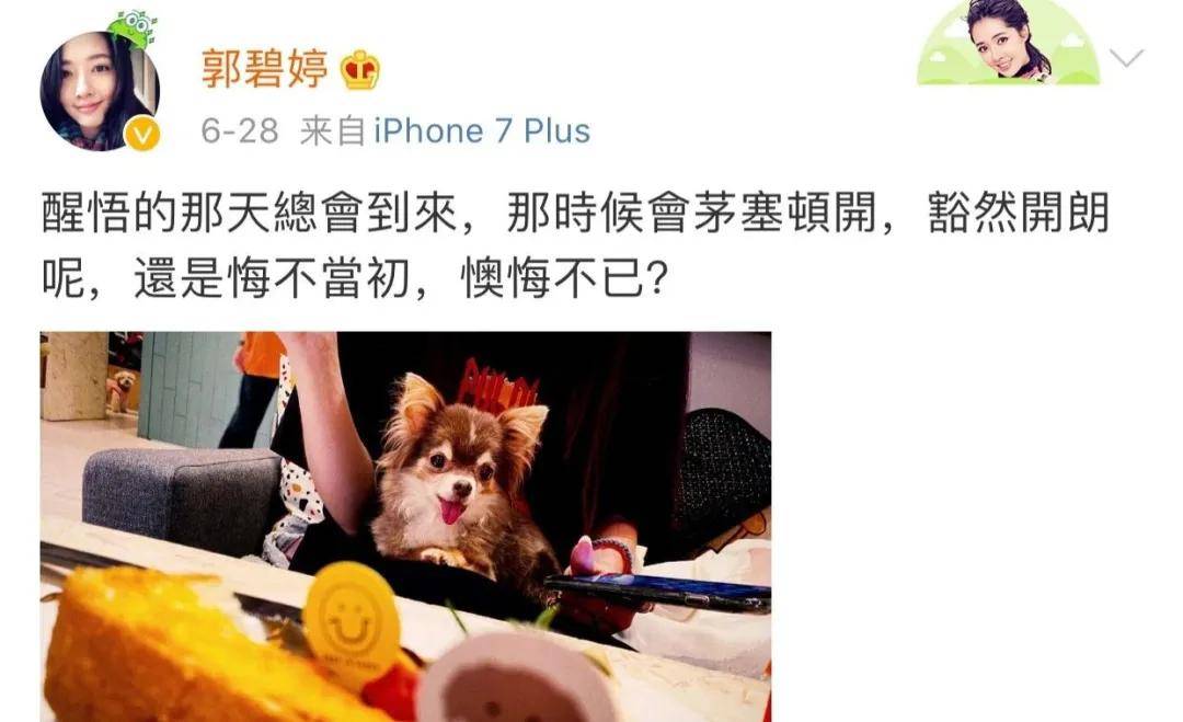 硬杠|郭碧婷再传婚变？孕期硬杠、不愧是向太都制不住的女人！