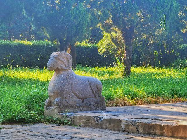 喝汤|洛阳人爱喝汤 千古传颂的爱情故事也难抵过一碗羊肉汤