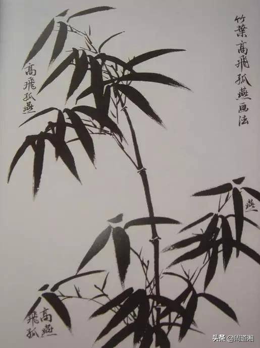 国画名师教你画写意竹子,全面生动,简单易学,讲的太精彩了!