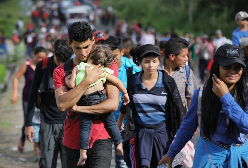 洪都拉斯gdp_洪都拉斯木纹龟