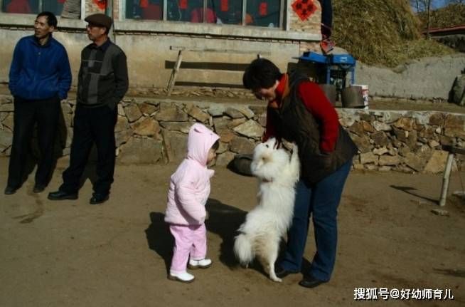 牛奶|奶奶经常给孩子喝这种牛奶,娃的身高落后别人一大截,还长了蛀牙