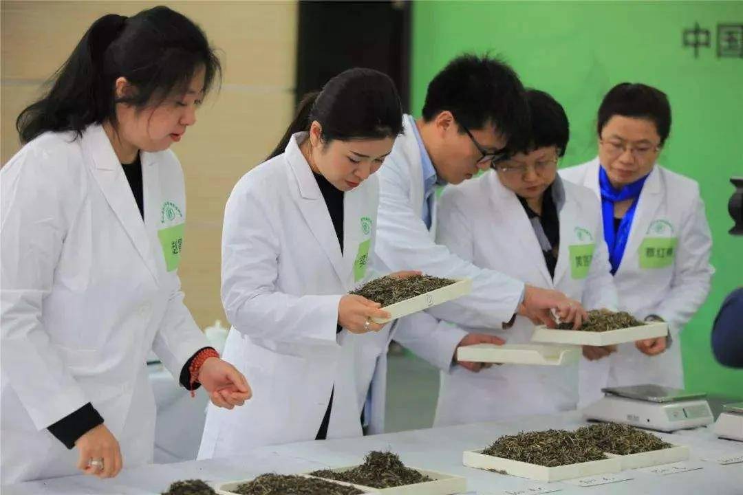 中国农业科学院茶叶研究所蓝城茶学院正式开课!以权威力量为小镇加码