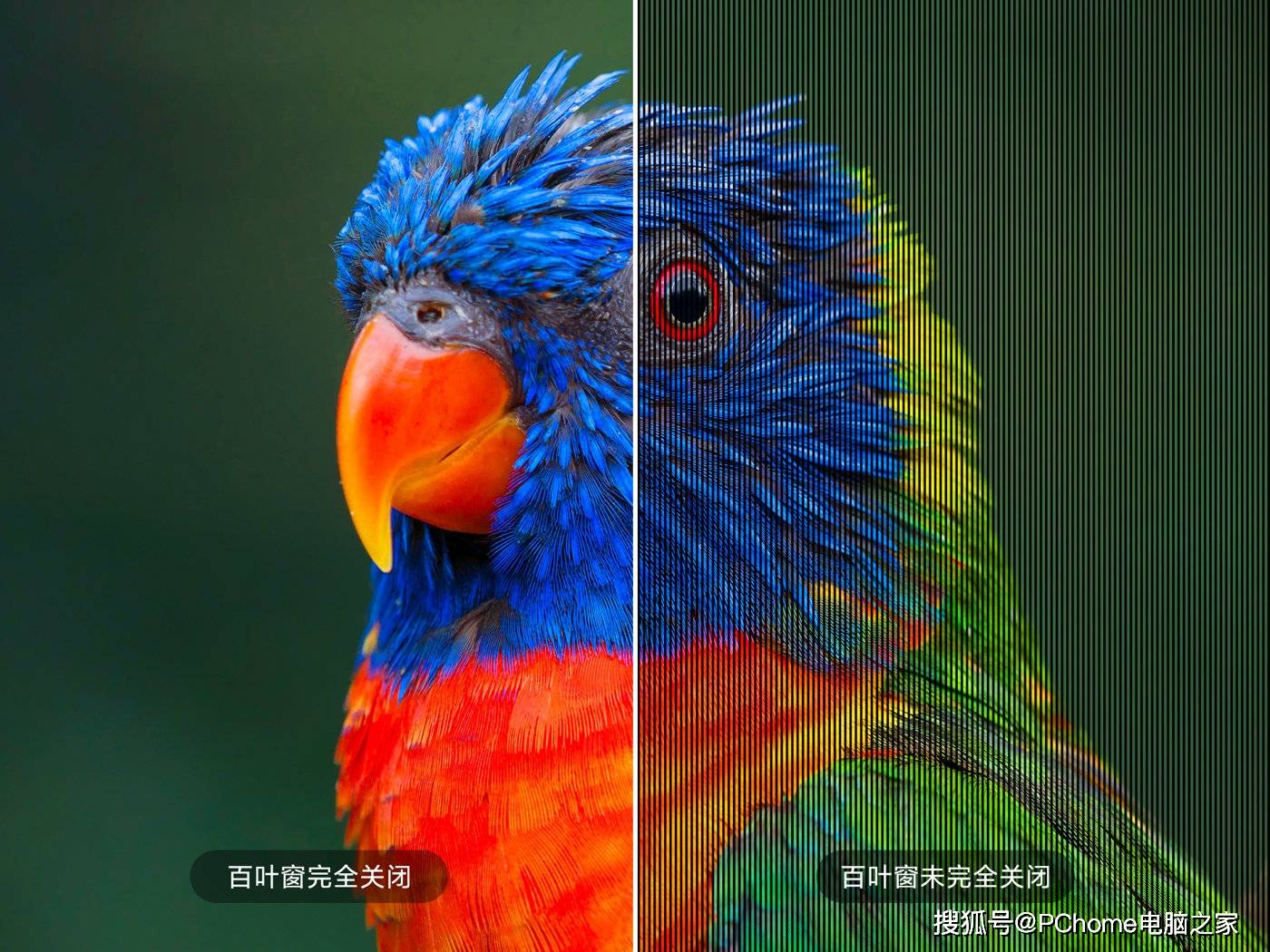 2020年|电视集体涨价前夕，这些2020年爆款新品你值得关注