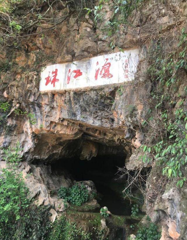 柳州gdp2020年GDP总量_柳州紫荆花(2)