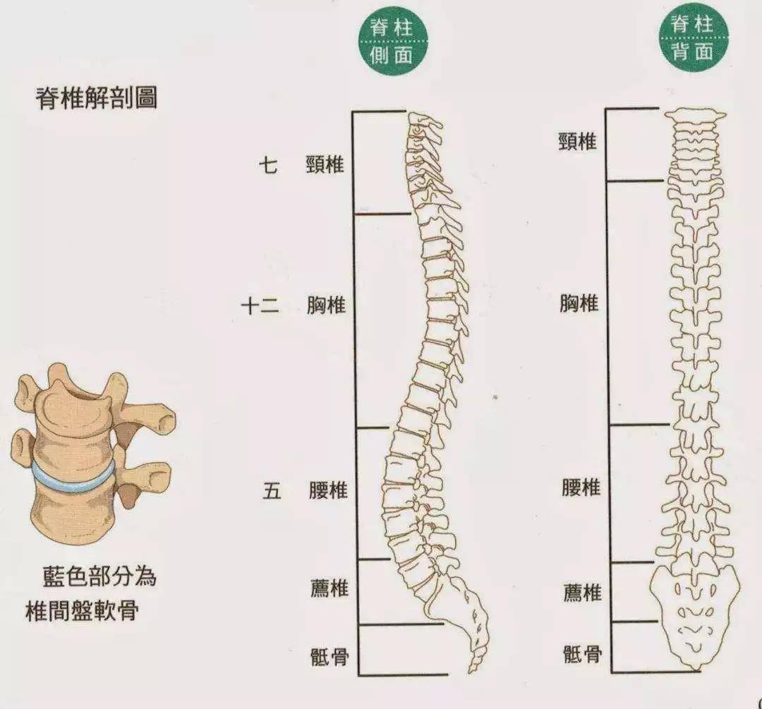 颈椎该有的弧度,你有吗?